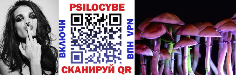 мега зеркало  наркотики  Елабуга  Галлюциногенные грибы Psilocybe 
